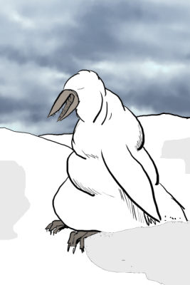 An albino penguin.